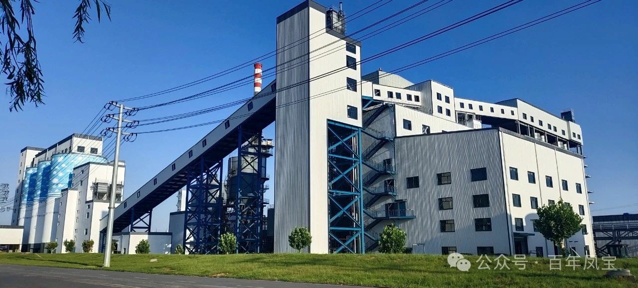 宋争辉到九游网·官方端网站登录入口集团调研