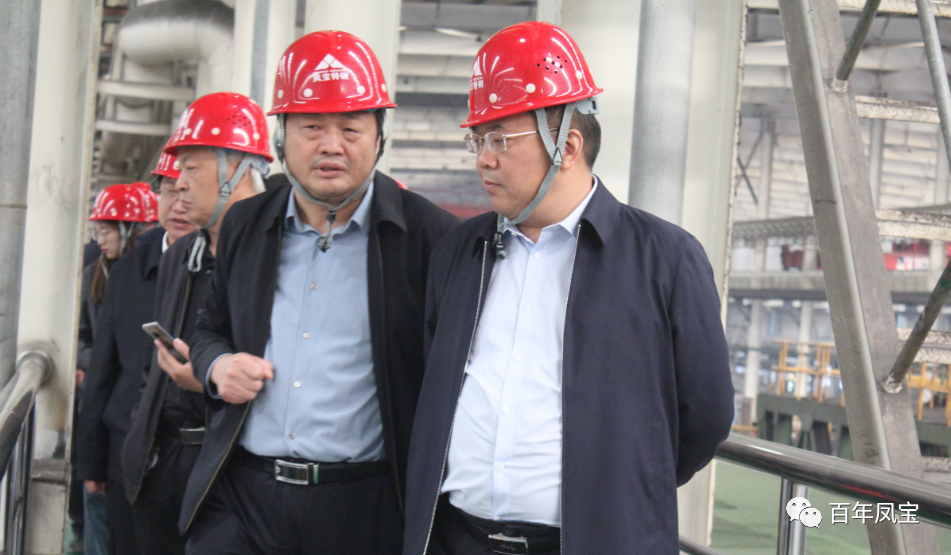 雷鸣到九游网·官方端网站登录入口特钢集团调研指导工作